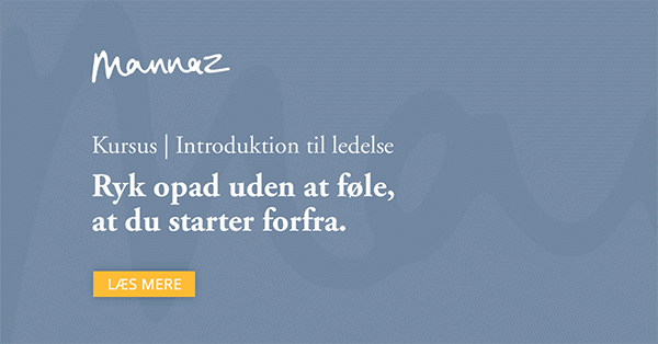 Introduktion til ledelse
