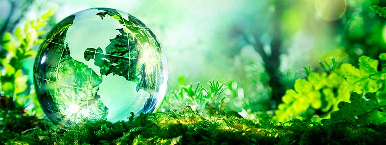Leading for a sustainable future