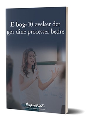 Mannaz e-bog med procesøvelser