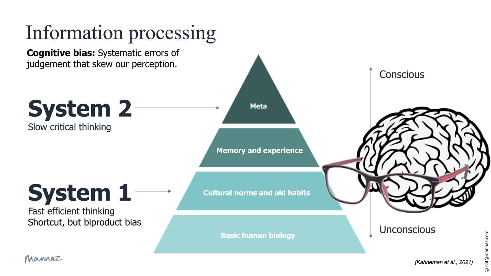 model Information Processing
